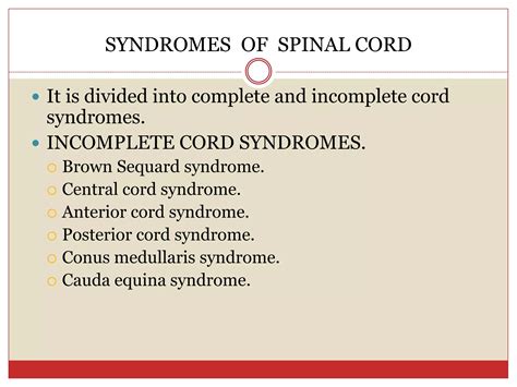 spinal cord anatomy and spinal cord syndromes | PPTX
