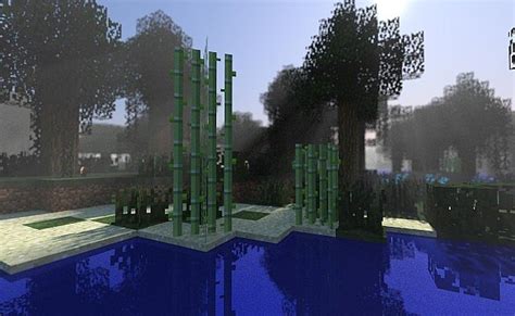 Image result for Minecraft Swamp Biome Builds
