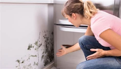 5 Major Health Side Effects of Mold Exposure