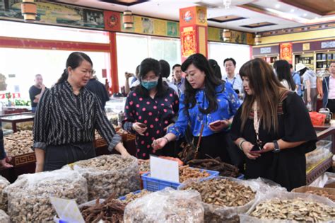 粤港澳大湾区21家主流媒体探访玉林 领略侨乡经济新篇章 - 中国网