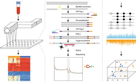 cfDNA Library Prep Process 的图像结果