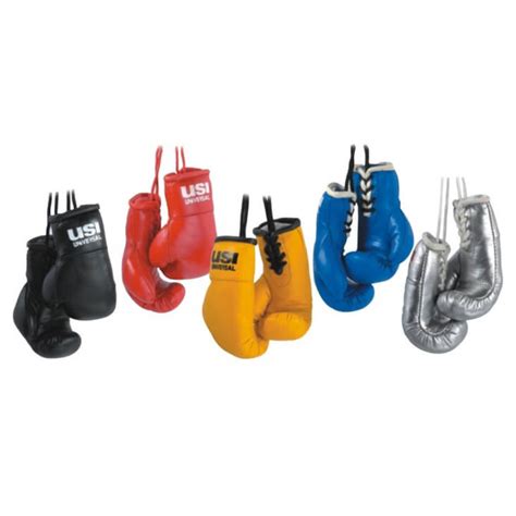 USI Universal Miniature Boxing Pvc Car Hanging – Sportswing.co