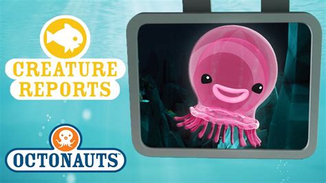 Image result for Octonauts Creature Report Colossal Squid