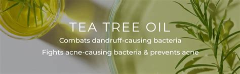 Buy The Best Tea Tree Oil Products Online – Naturali