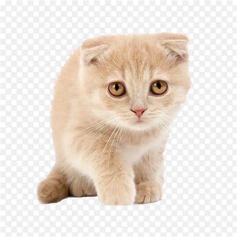 Image result for Ruby Simple Code Example