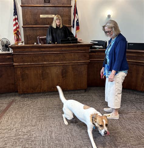 Ashtabula Municipal Court | Ashtabula OH