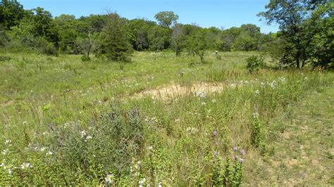 Sauk Prairie Tour, Riverfront Park, Sauk City, WI, Jefferson, 15 June ...