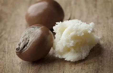 Shea Butter - Unrefined Shea Butter Manufacturer from Vadodara
