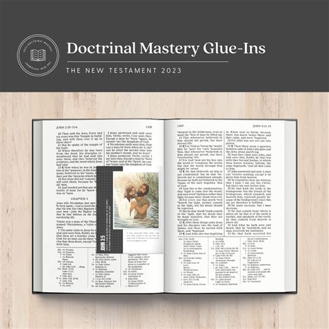New Testament Doctrinal Mastery - Glue-Ins (PDF Download) - The Red ...