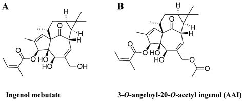 Synthesis and Cytotoxicity against K562 Cells of 3-O-Angeloyl-20-O ...