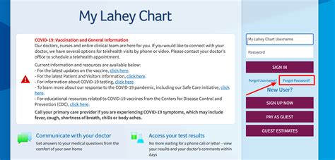 Lahey Chart Alex Lahey On The Hidden Positivity Of 'The Answer Is