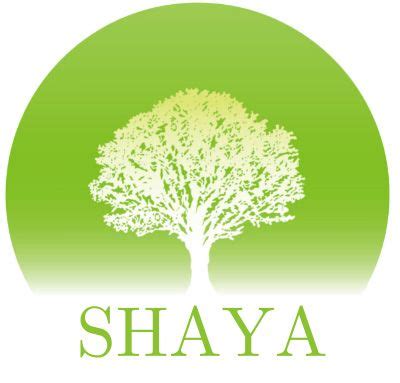 About Us | SHAYA Projects LLP
