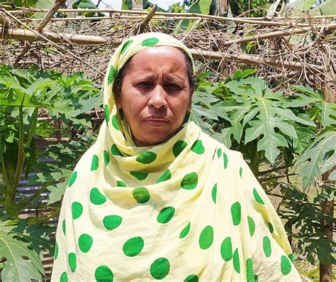 In flood-prone Assam, new varieties of rice are helping farmers in ...