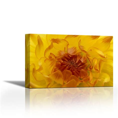 Karmakara OR, Shore Acres Gardens, Yellow dahlia backlight - Fine Art ...