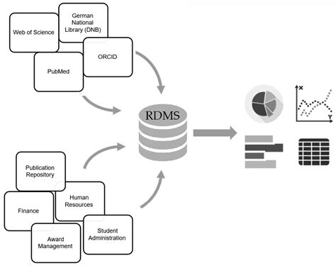 Treatment of Bad Big Data in Research Data Management (RDM) Systems