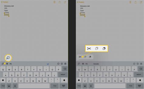 Image result for How to Copy and Paste Using the iPad