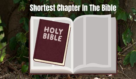 What Is The Shortest Chapter In The Bible? Shortest Bible Chapter