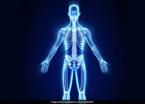 मानें या न मानें झपकी नहीं है समय की बरबादी, जानें इसके फायदे ...