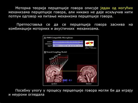 15. Биолошке основе говора - ppt скинути