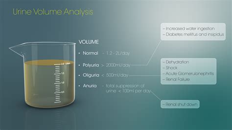 Volume Of Urine Analysis