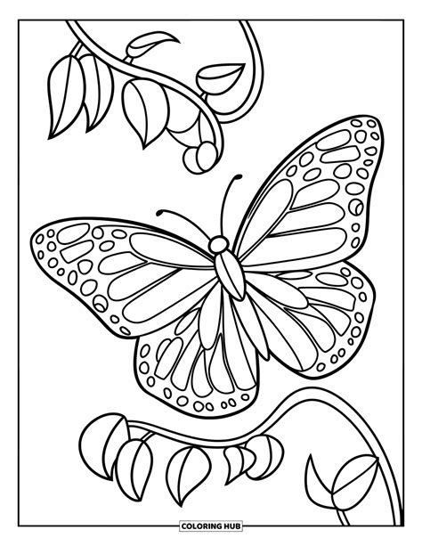 165+ Butterfly Coloring Pages for Kids & Adults (Free Printable PDFs)