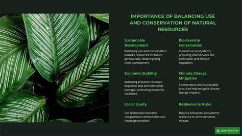 Management of Natural Resources 的图像结果