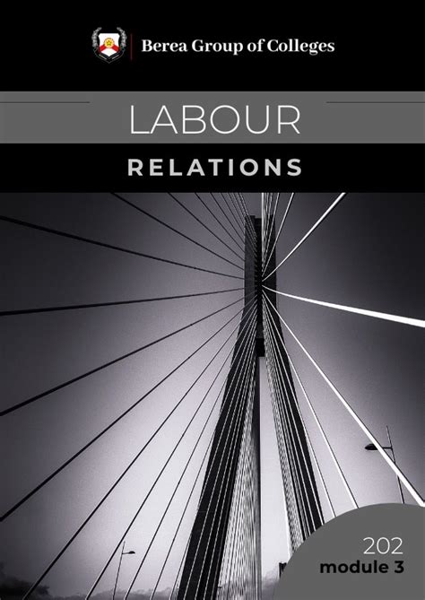 Image result for Labour Relations N6 Module 3
