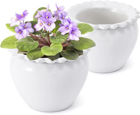 Amazon.com : Lovely Ran 2pcs 6.5 * 4.6 * 4 inch White African Violet ...