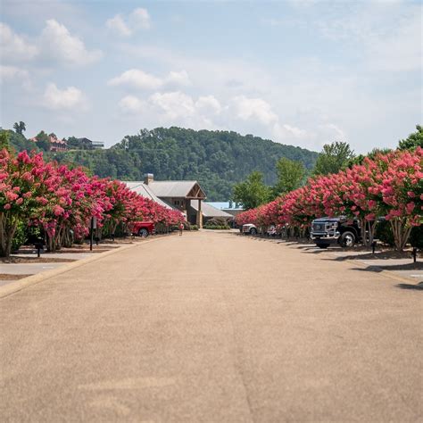 Two Rivers Landing RV Resort | “It’s always hard to leave…” We couldn’t ...