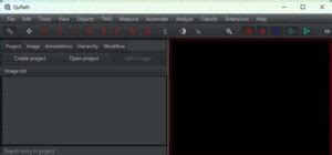 Image result for QuPath Basics