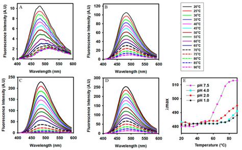 Modulation of the Structure and Stability of Novel Camel Lens Alpha ...