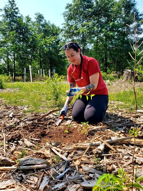 Image result for How to Implement Stewardship