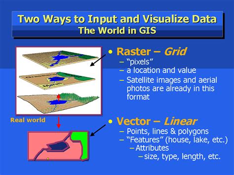 Input Visualizer 的图像结果