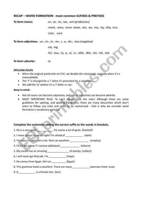 Word Form Exercise 的图像结果