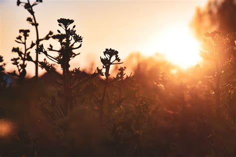 Image result for Liability Insurance Ireland