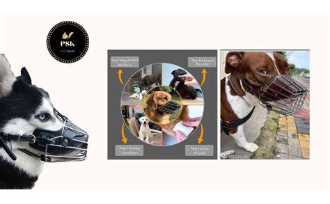 PSK PET MART Steel and PU Dogs Muzzle Basket Design Anti-Biting ...