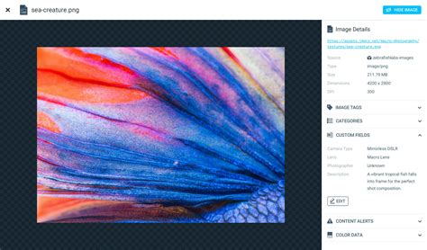 Image result for How to Use ImageX