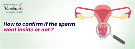 Ultrasound Centre Jalandhar | Diagnostic Centre Jalandhar | Vardaan