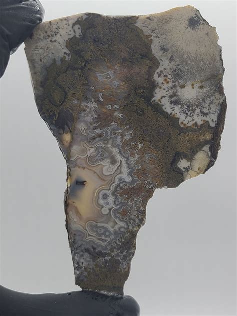 Lapidary Slabs 的图像结果