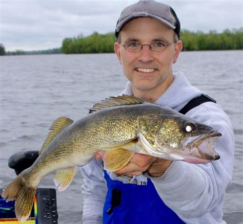 Spring Time Walleye 的图像结果