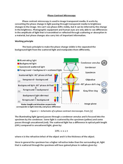 Image result for Phase Contrast Microscopy Applications
