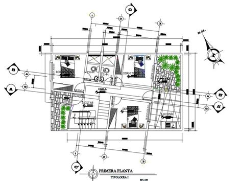 Plan Drawing 的图像结果
