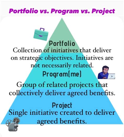 Image result for Portfolio vs Program vs Project