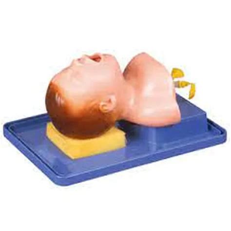 Neonate Intubation Model