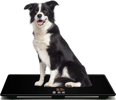 ONE-MI Dog Scales for Large Breed - Heavy Duty 220 India | Ubuy