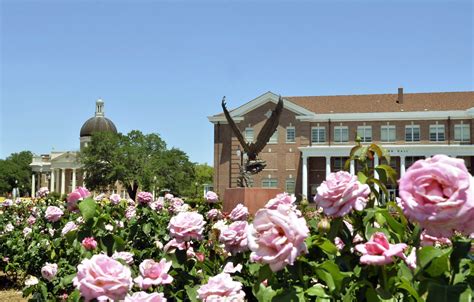 27 Best & Fun Things to Do in Hattiesburg, MS – Touristchief