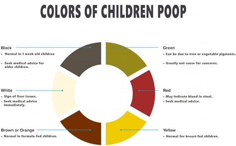 Image result for Different Poop Colors