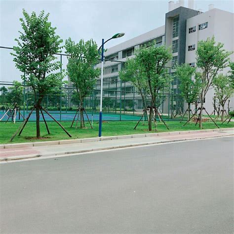 柳州市第二中学 - 搜狗百科
