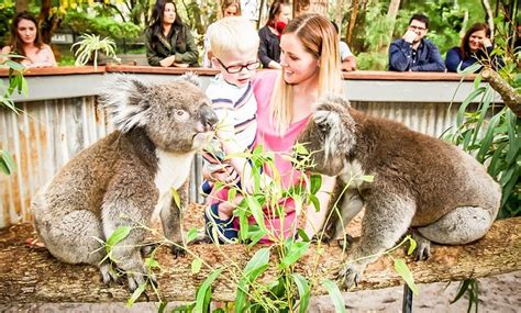 Image result for Perth's Outback Splash