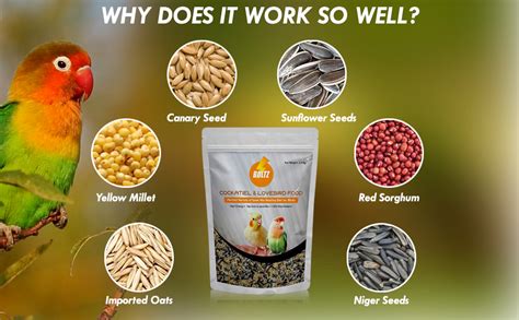 Buy Boltz Bird Food for Cockatiel & Lovebirds Mix Seeds, Canary Seed ...